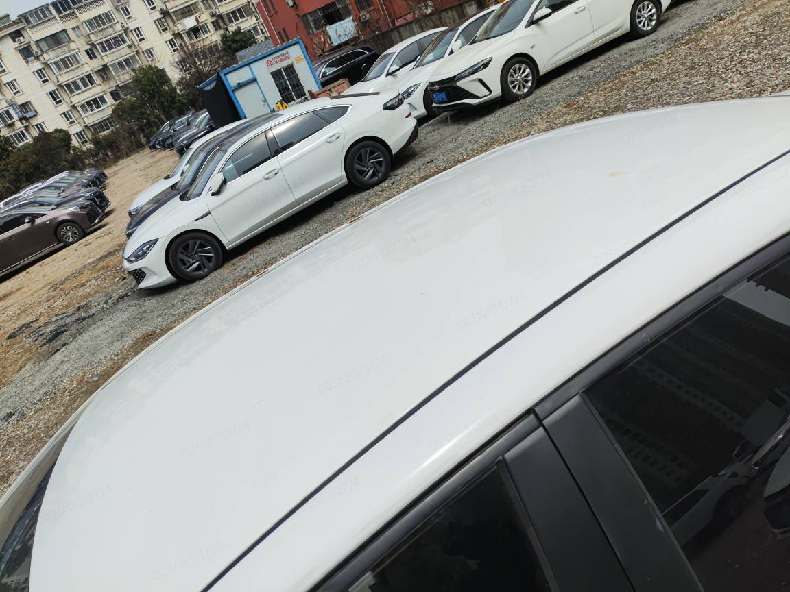 Miniatura 11
