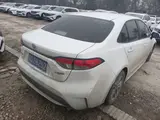 缩略图 2