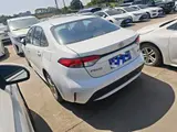 缩略图 4