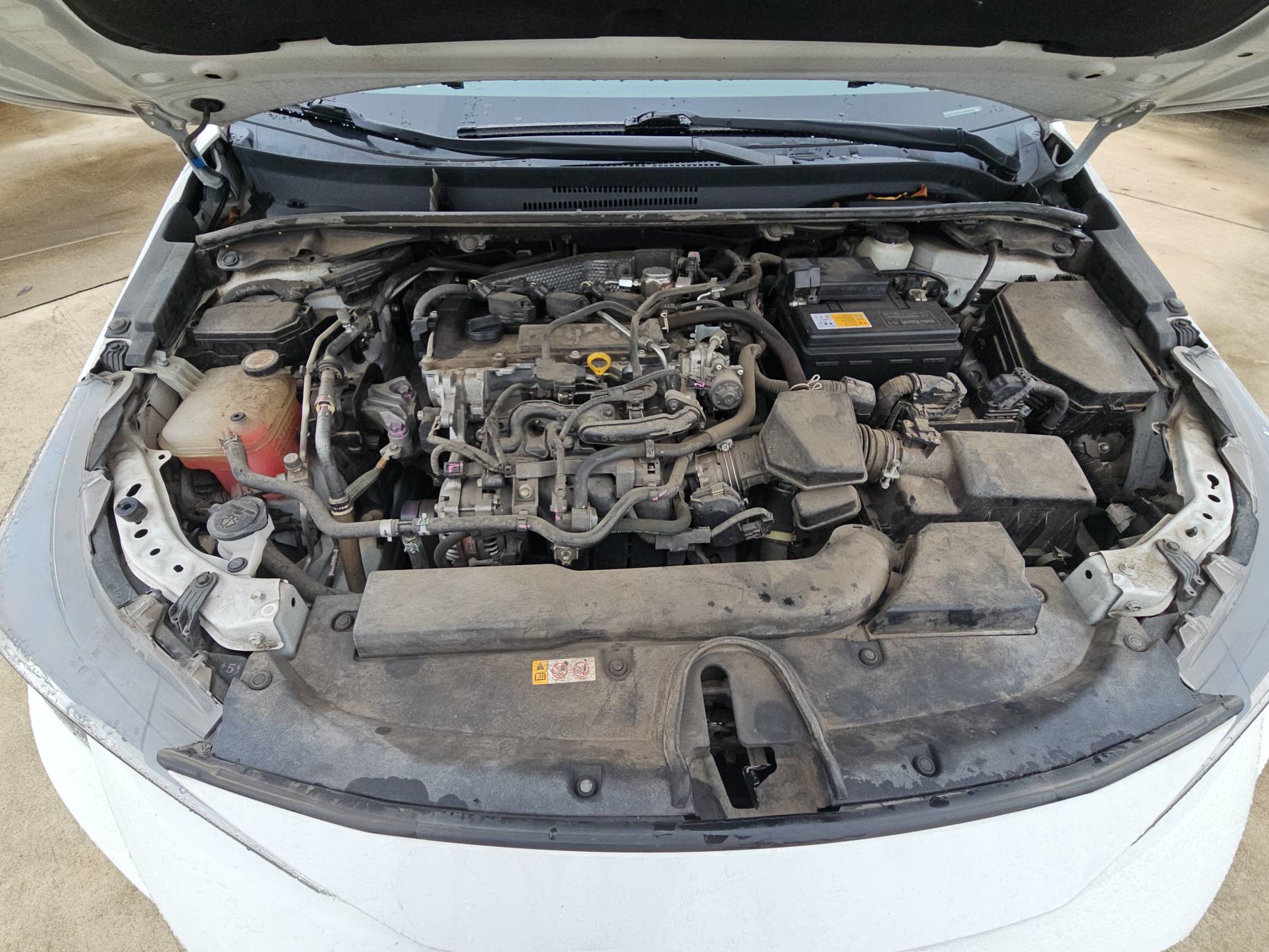 Miniatura 7