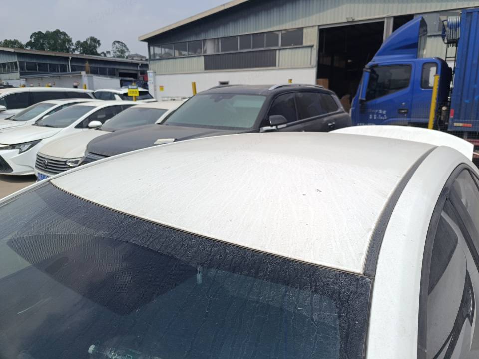 缩略图 11