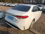 缩略图 2