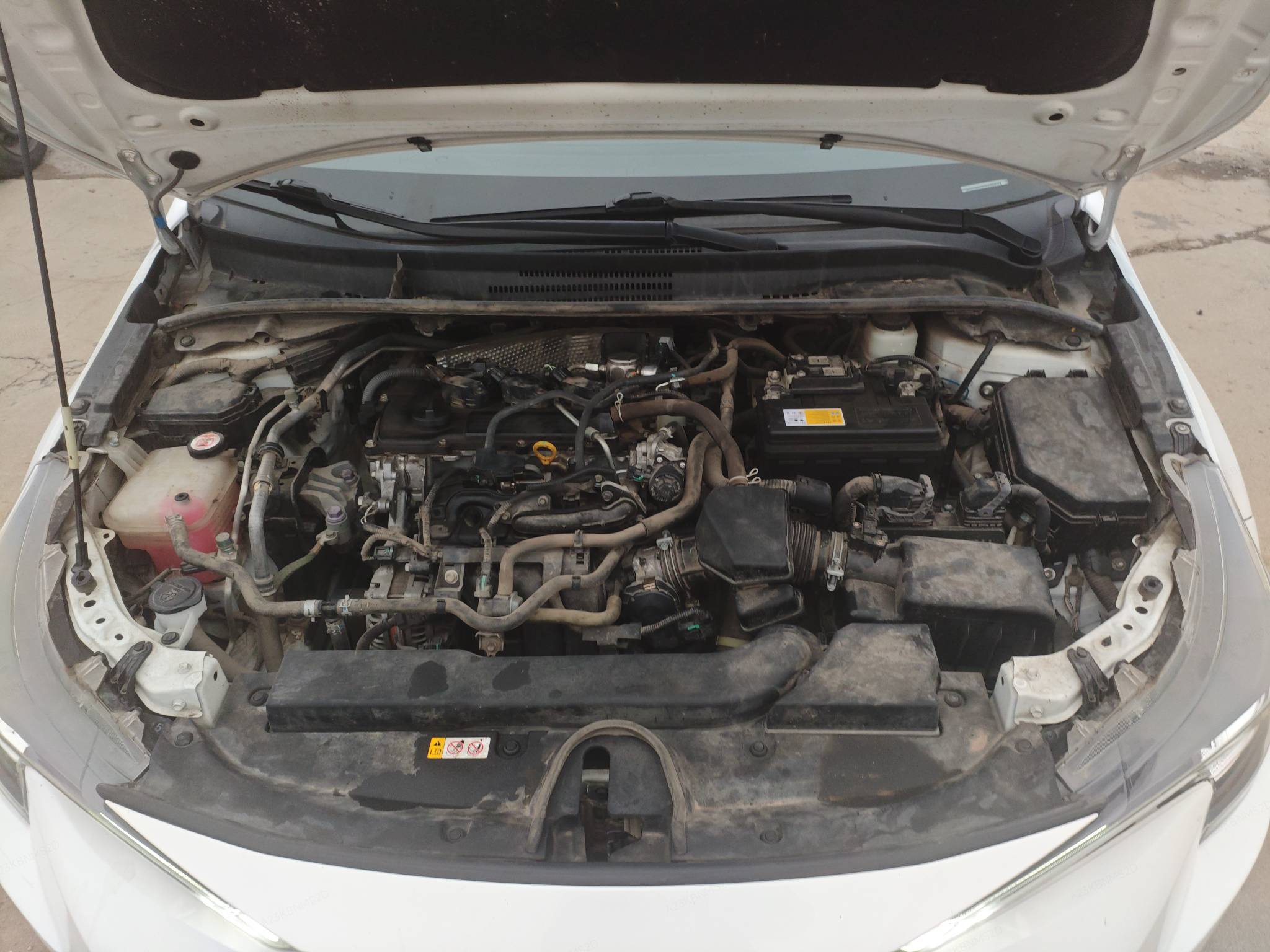 Miniatura 7