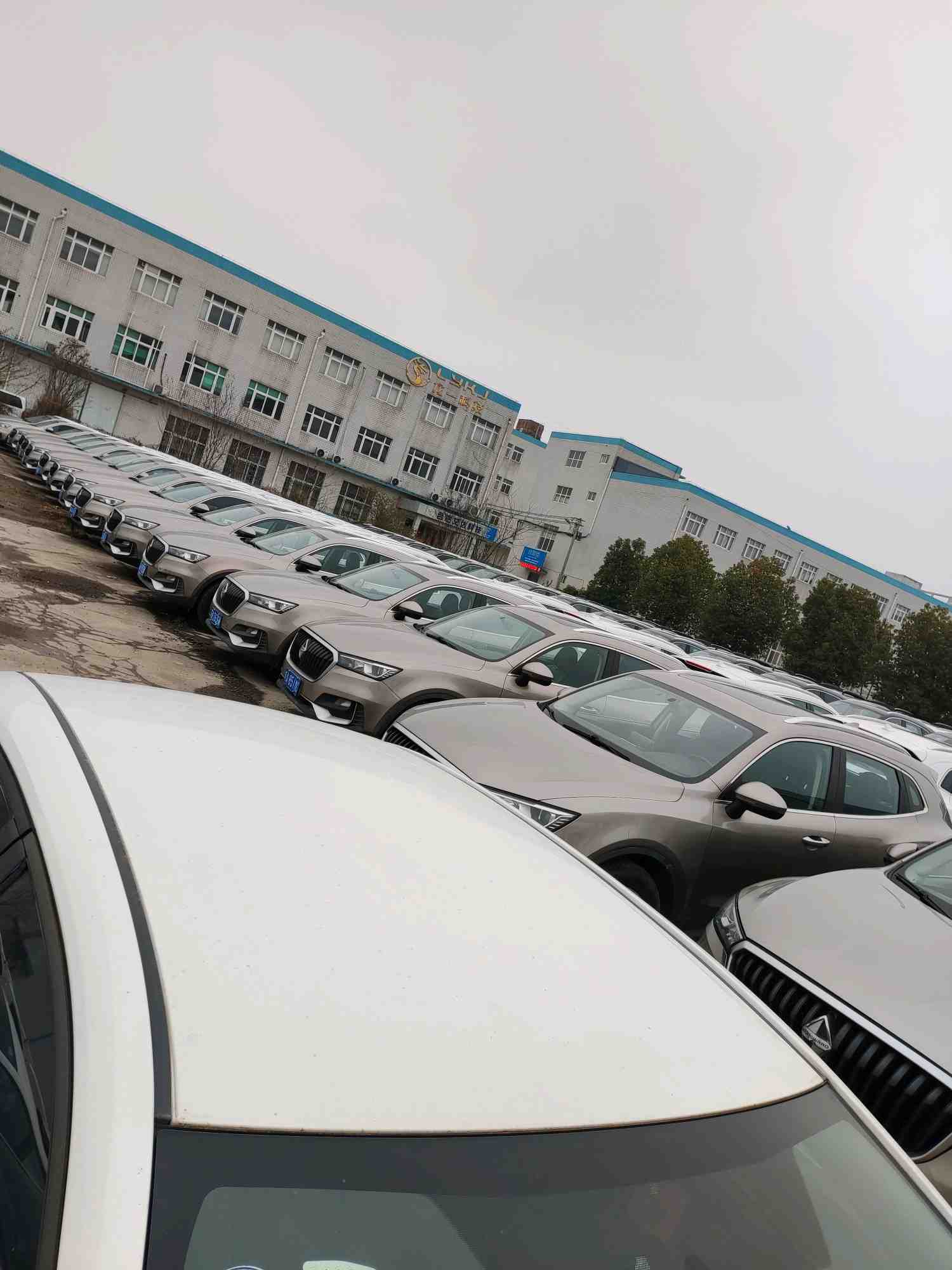 Миниатюра 11
