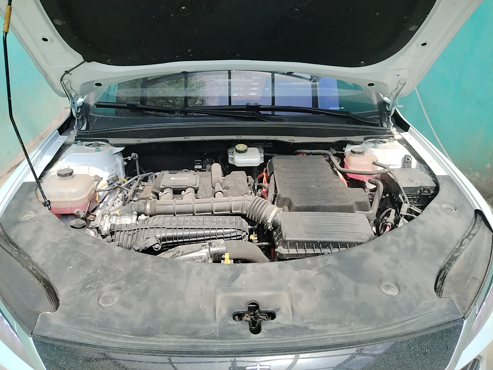 Miniatura 7