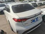 缩略图 4