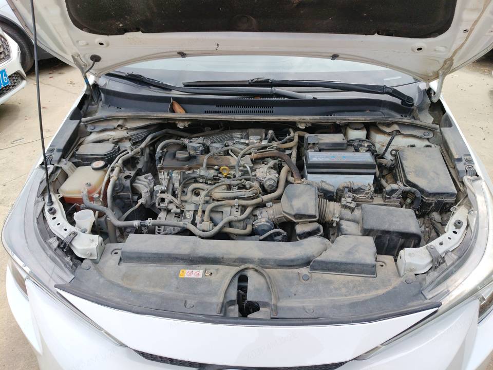 Miniatura 7