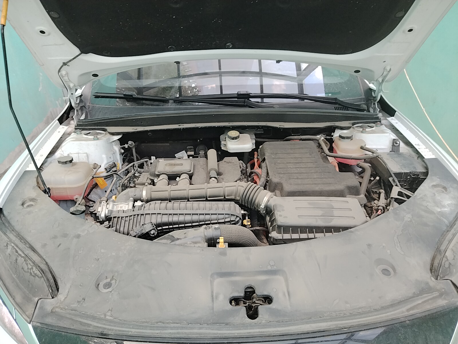 Miniatura 7