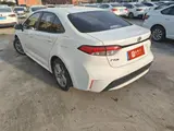 缩略图 4